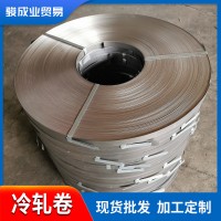 佛山現(xiàn)貨供應SGCC精準平直冷軋卷 dc04冷軋鋼帶廠家