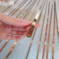 304不銹鋼鈦金實(shí)心T型條一體式型裝飾條門邊裝飾線條拉絲玫瑰金T6