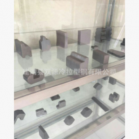 廠家供應(yīng)冷拉熱軋方鋼、冷拉六角鋼、熱軋冷拉扁鋼、熱軋異型鋼等