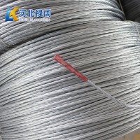 水果蔬菜大棚骨架用鍍鋅鋼絲鋼絞線 標(biāo)準(zhǔn)鍍鋅鋼絞線多型號(hào)可選