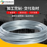 廠家現(xiàn)貨光亮冷拔絲鍍鋅絲 大棚建設(shè)葡萄搭建Q195鍍鋅絲 8號鋅絲